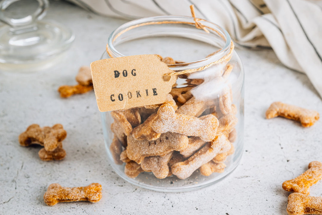 Dog Treats - Wet Dog
