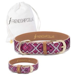 FriendshipCollar  Because best friends should match!